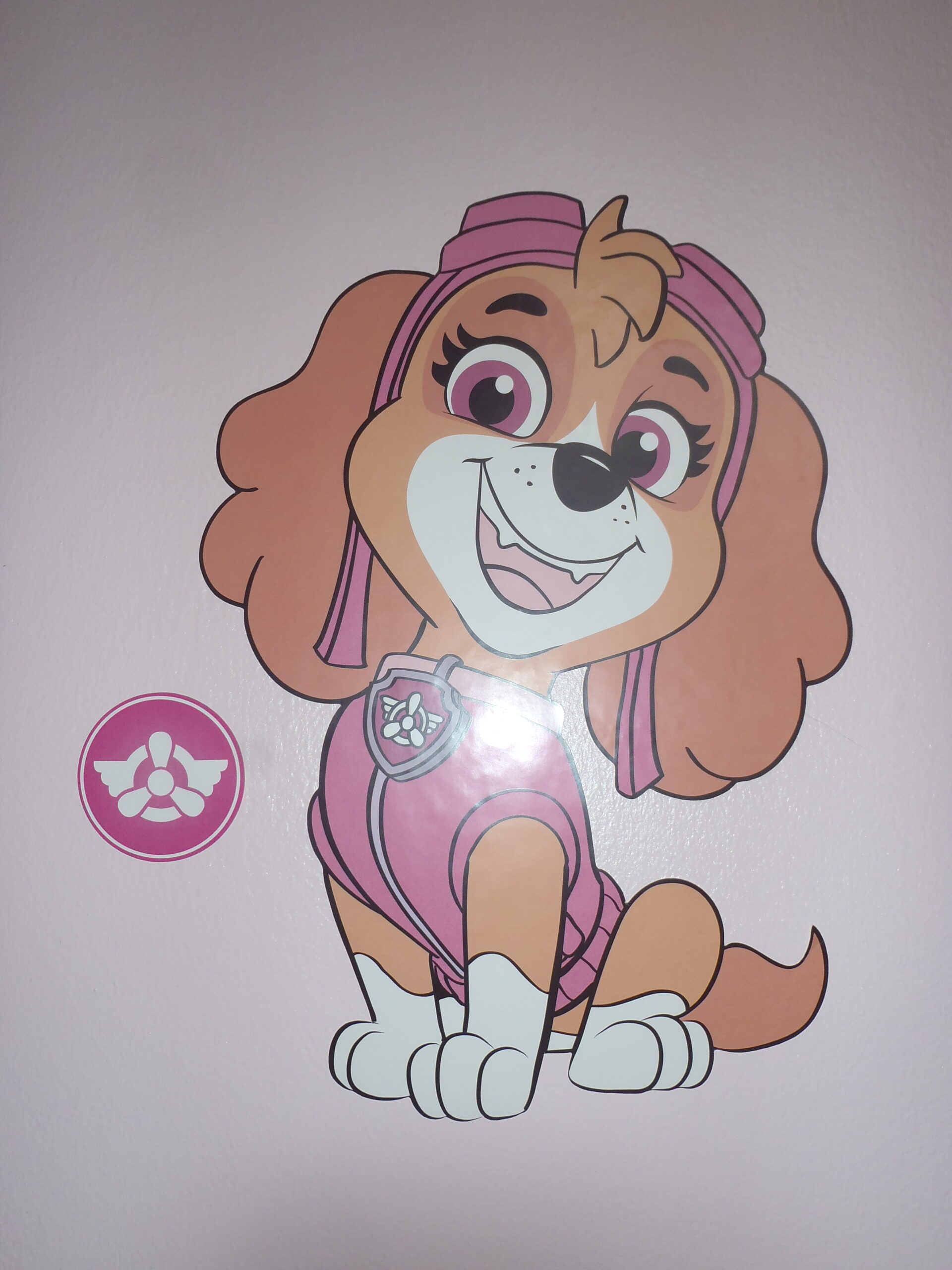 Paw patrol plasticine online